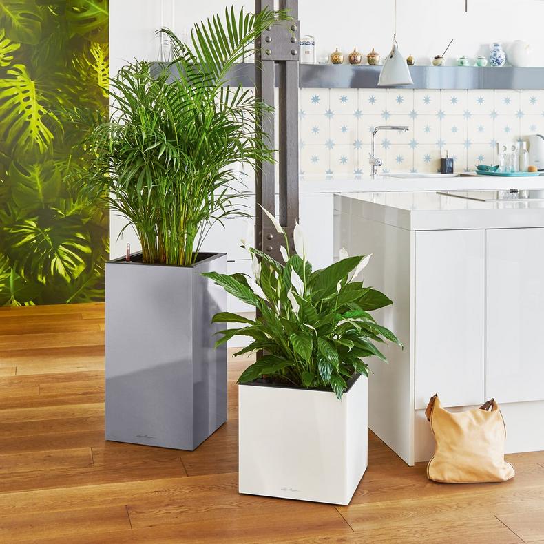 le_canto-wuerfel40_product_addi_03